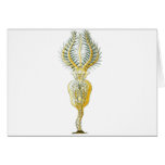 A Rotifer Cards