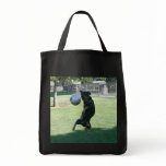 merchbooth, artsprojekt, rottweiller, with, moves,