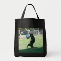 A Rottweiller with Moves bags