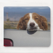 A Ruff Life Mouse Pads
