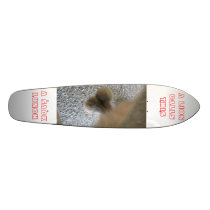 A SACK LUNCH skateboards