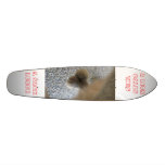 A SACK LUNCH SKATEBOARD DECKS