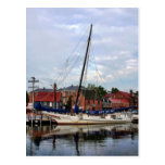 A Sailboat in Annapolis Harbor Post Cards