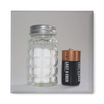 A Salt and Battery Refrigerator Magnets