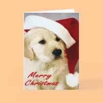 A Santa Pup cards