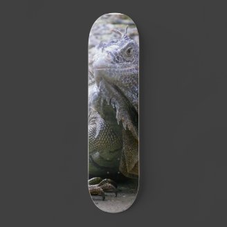 A Scaly Reptilian Deck