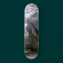 A Scaly Reptilian Deck skateboards