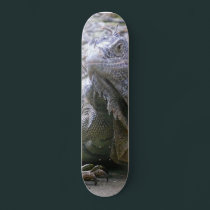 A Scaly Reptilian Deck skateboards