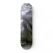 A Scaly Reptilian Deck skateboards