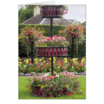a scottish garden card by ashroc a scottish garden card