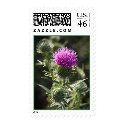 A Scottish Milk Thistle Postage