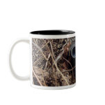A scout observer practices observation techniqu 2 mug