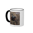 A scout observer practices observation techniqu mugs