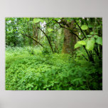 a sea of green poster