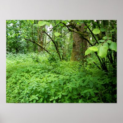 a sea of green poster by Lisa_Dawn