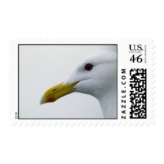 A Seagull Up Close Postage Stamp