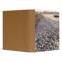 A Seagull's Baquet binders