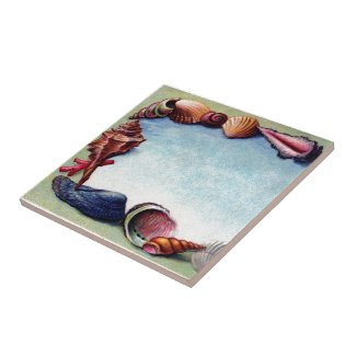 A Seashell Frame Ceramic Tile