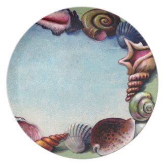 A Seashell Frame Dinner Plate