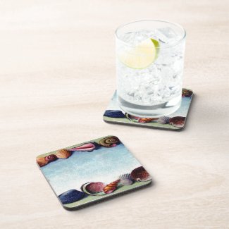A Seashell Frame Drink Coasters