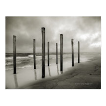 A sepia toned shot of old beach posts postcards