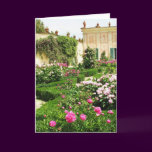 A Serene Formal Rose Garden