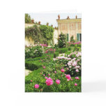 A Serene Formal Rose Garden