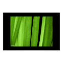 A Shade of Green posters by cOSMOsFotoS A Shade of Green posters