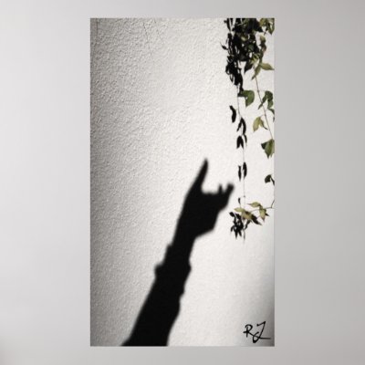 A Shadows Grasp Poster by RJphotography