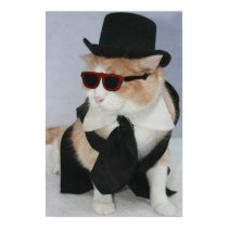 A Sharp Dressed Cat posters