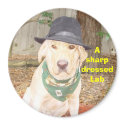 A Sharp Dressed Lab magnets