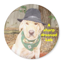 A Sharp Dressed Lab magnets