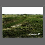 A Sheep's Medow postcards