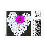A Shell of a Heart Stamp