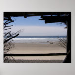 A Shelter's View Poster