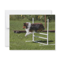 A Sheltie Clears the Bar Personalized Invite