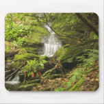 A Short Waterfall In A Small Stream Running Throug Mouse Pads