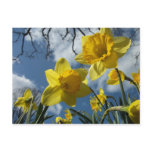 A SIGN OF SPRING POST CARD