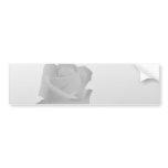 a silent single rose greys bumper sticker