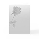 a silent single rose greys cards