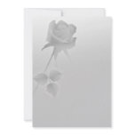a silent single rose greys custom invites