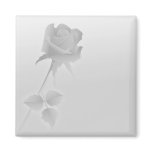 a silent single rose greys refrigerator magnets