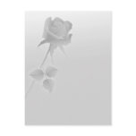 a silent single rose greys postcards
