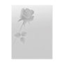 a silent single rose greys postcards
