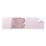 a silent single rose pink bumper sticker