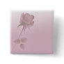 a silent single rose pink