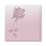 a silent single rose pink magnets