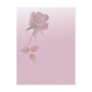 a silent single rose pink post cards