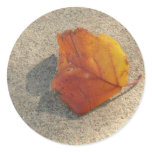 A Single Autumn Leaf Round Sticker