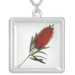 A Single BottleBrush Blossom necklaces